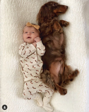 baby miller in dachshund onesie