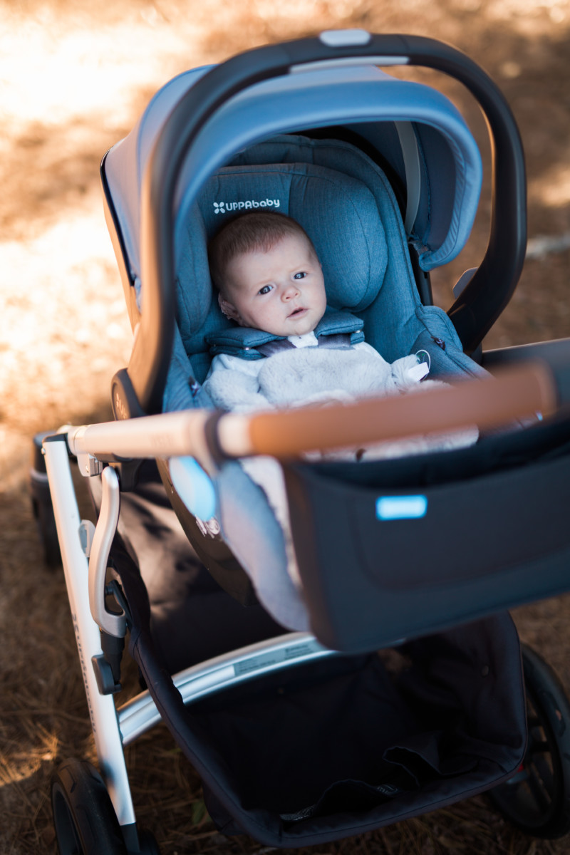 the uppababy vista stroller and mesa carseat review on themilleraffect.com