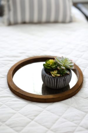 walmart home mirrored tray with stripe succulent